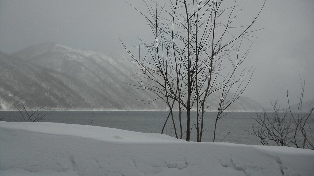 湖２