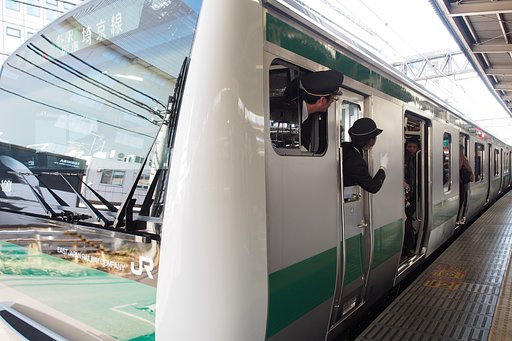 巣立ちの日まで