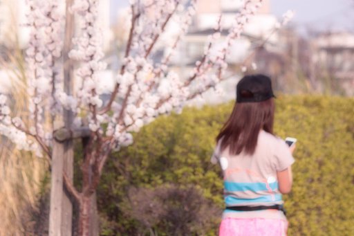 桃花に一休み