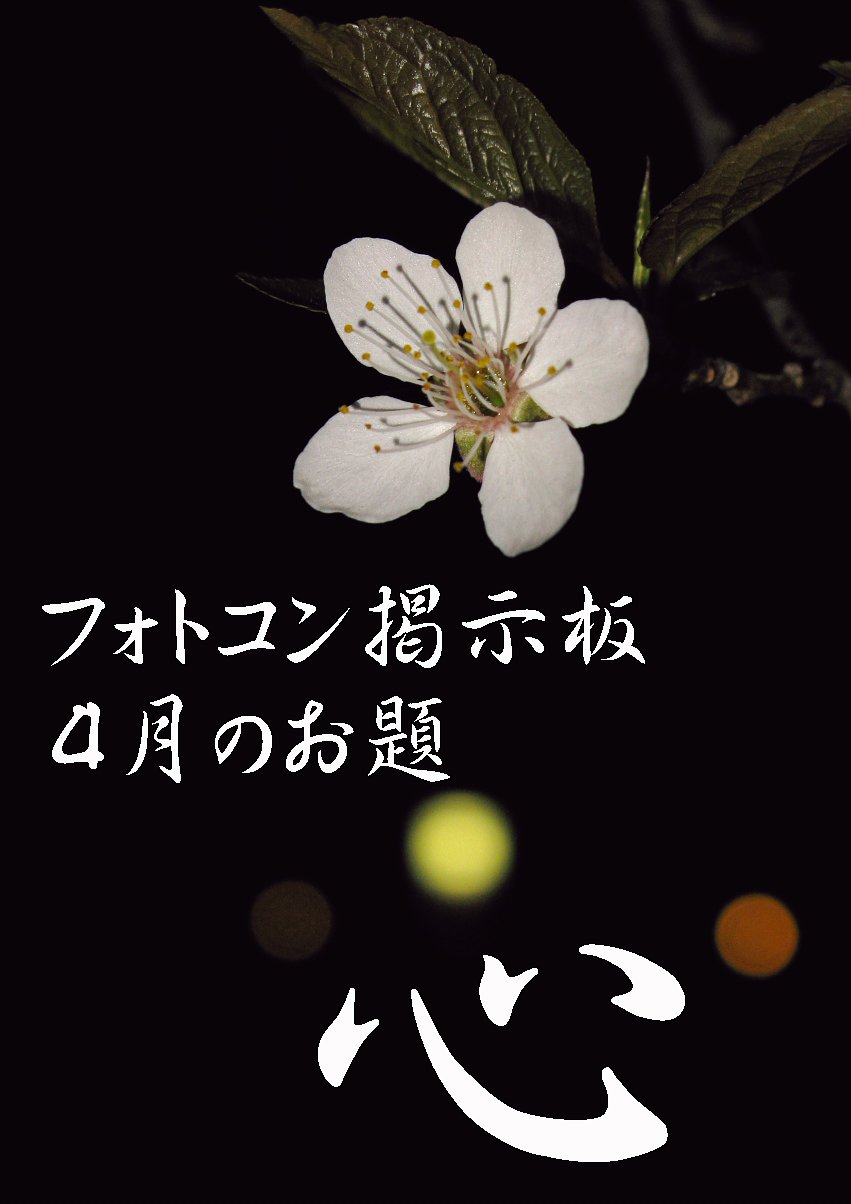 フォトコン掲示板からのお願い