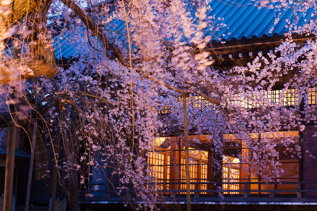 400年の時を超え