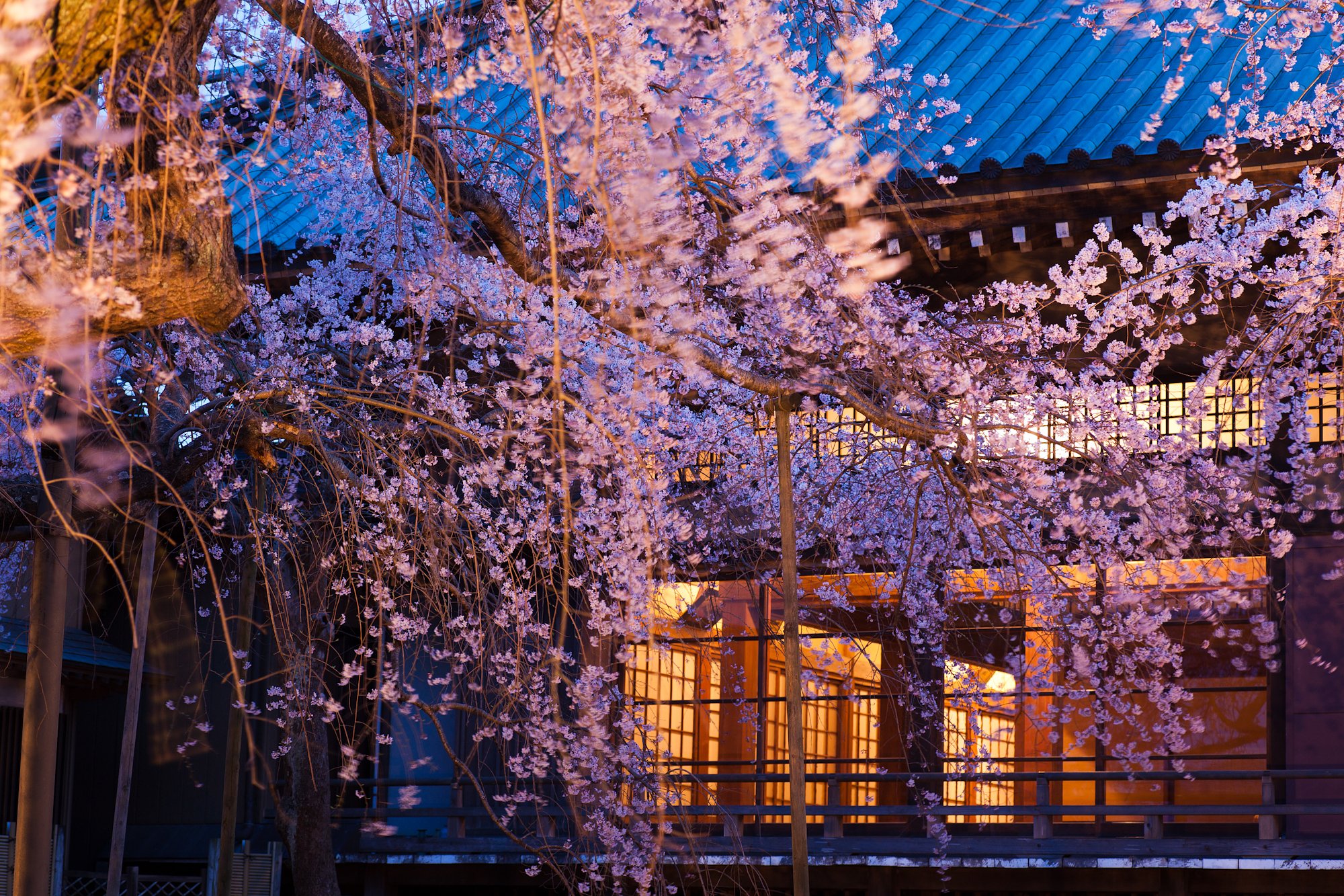 400年の時を超え