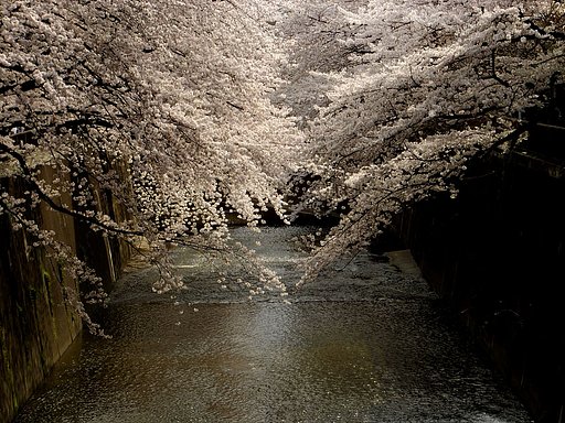 水辺の風景