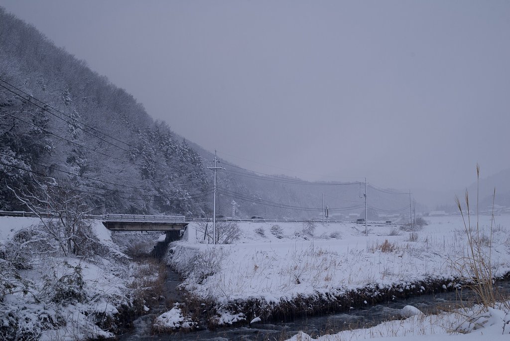 雪が降っています。