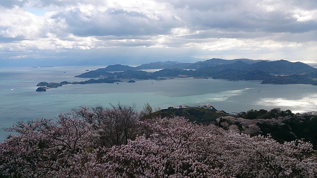 桜旅～せとうち・岩城島～