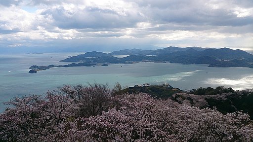 桜旅～せとうち・岩城島～
