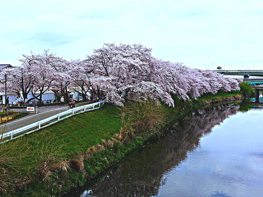 【心】検診のあとで・・