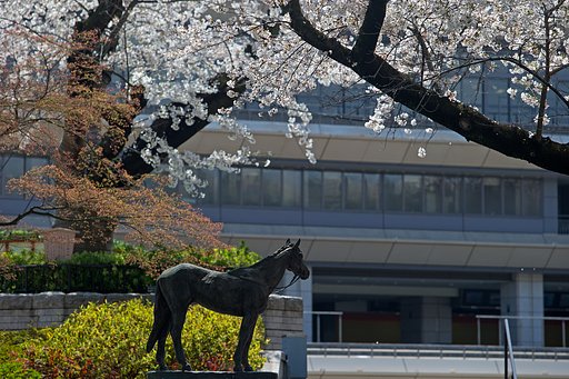 競馬場の花見