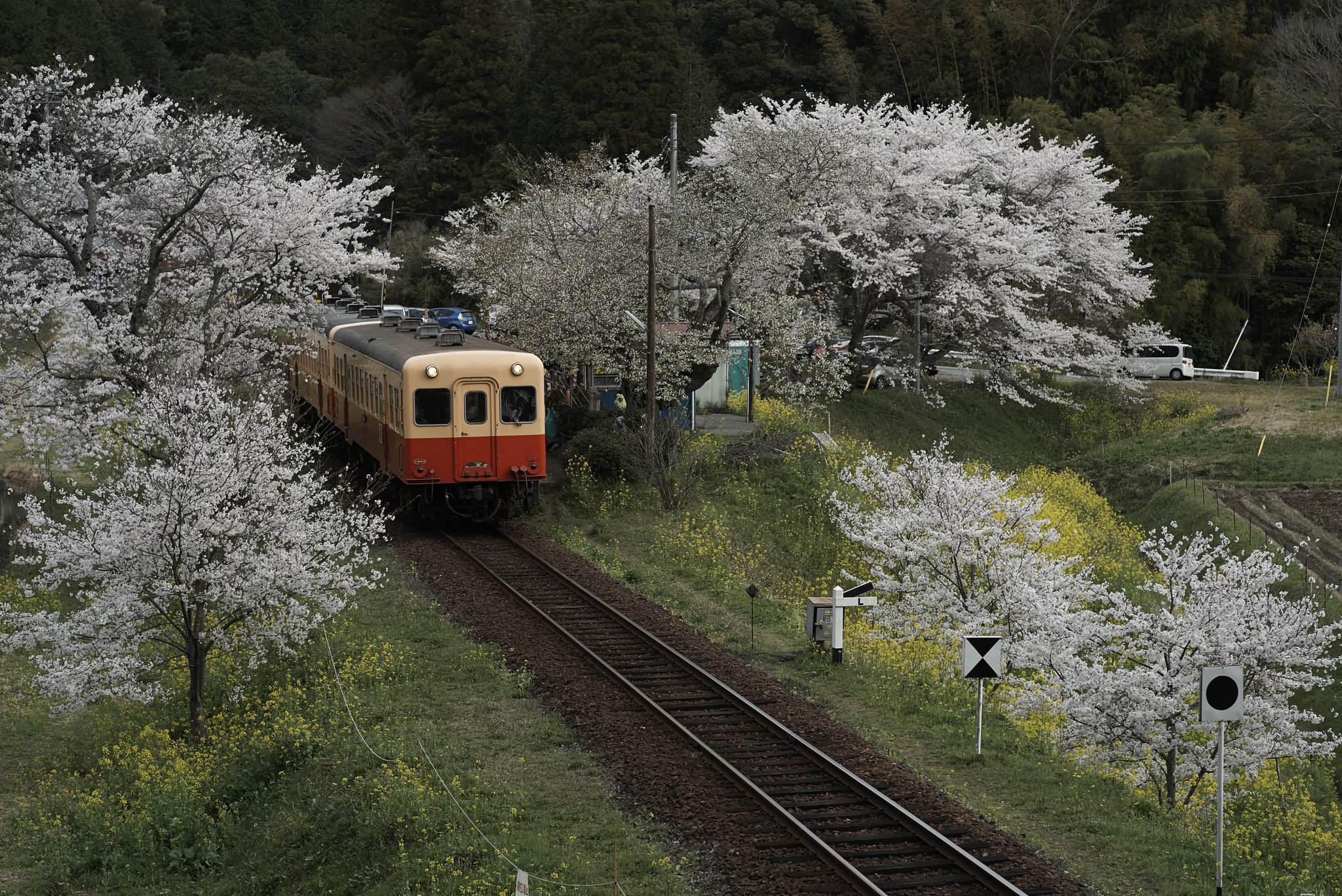Planar 1.4/85 QBM