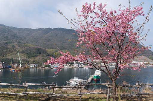 港