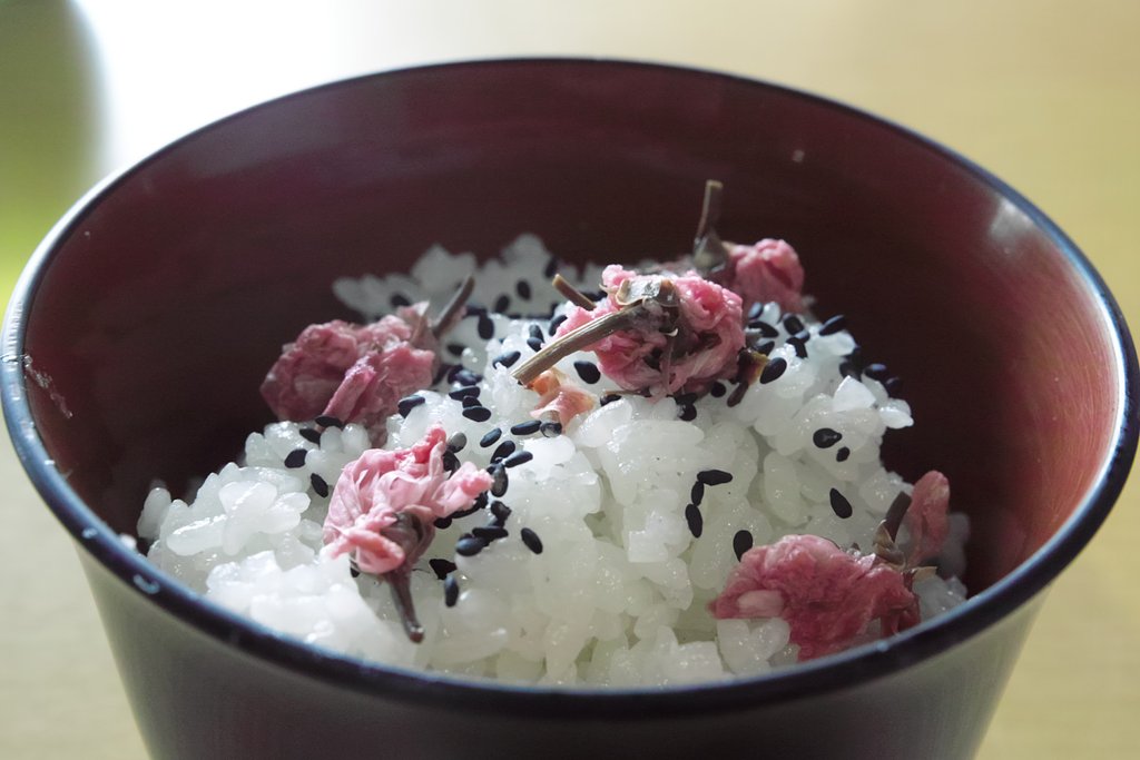 今日のお昼はルン♪