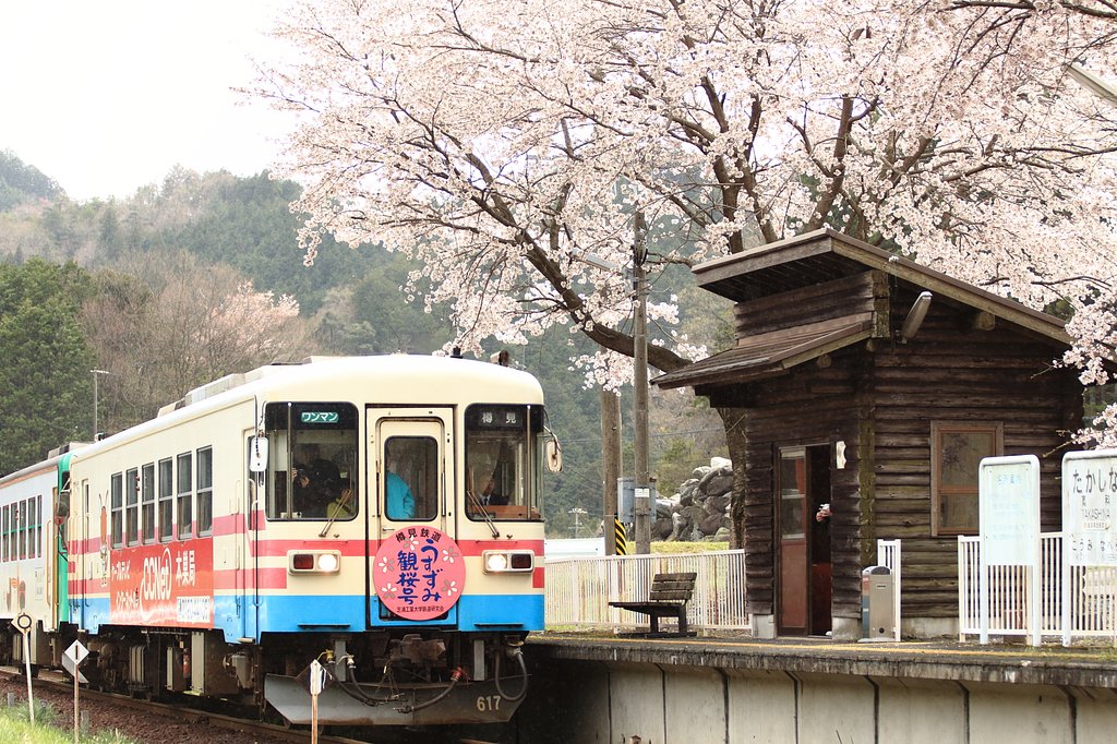 花曇り