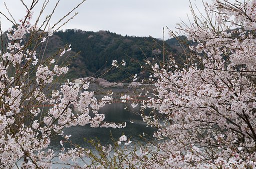 ダム湖