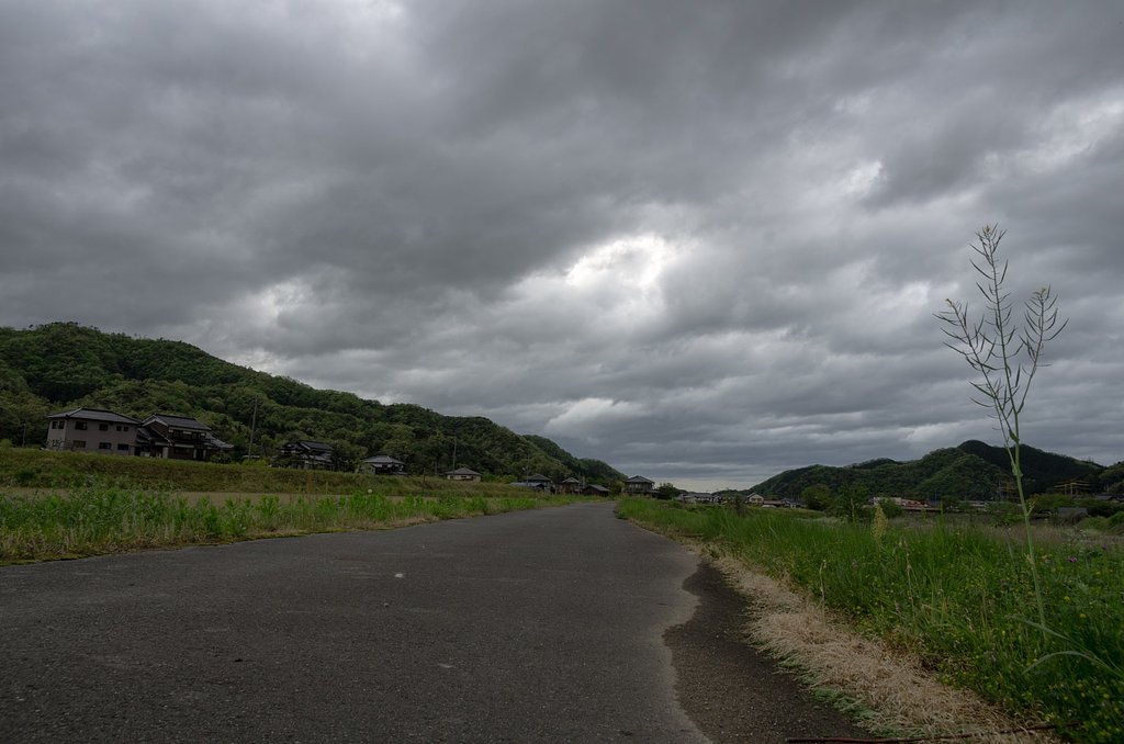 雨上がり。
