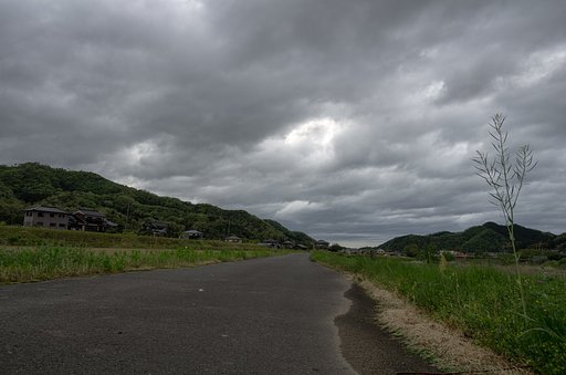 雨上がり。