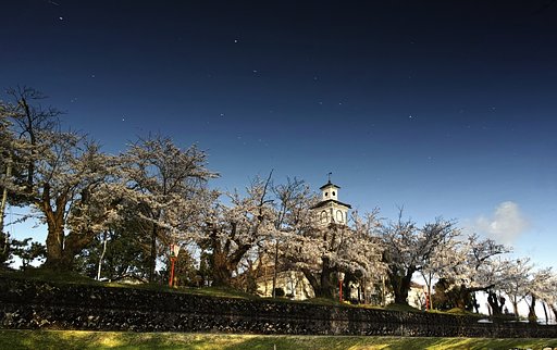 御堀に映る桜並木