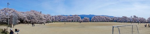【心】に残る校庭