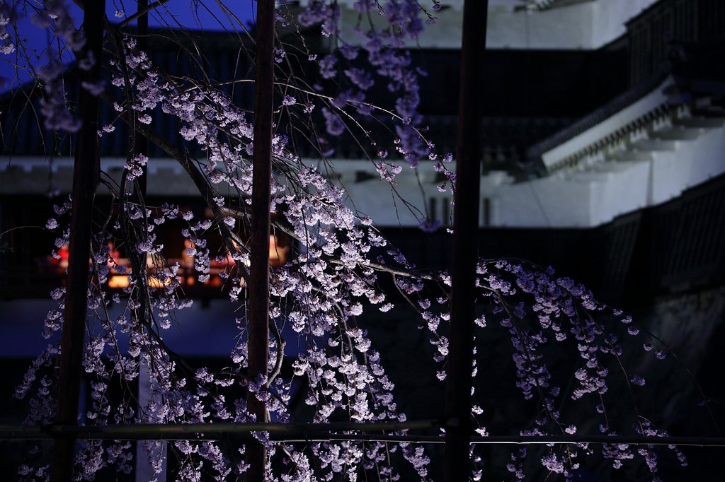 開宴