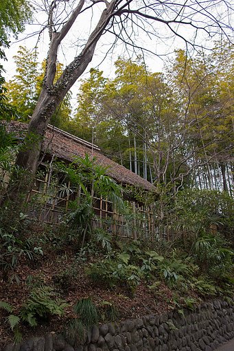 EF24mm F1.4 L Ⅱ