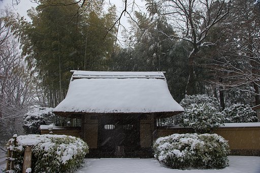 茅葺きに雪
