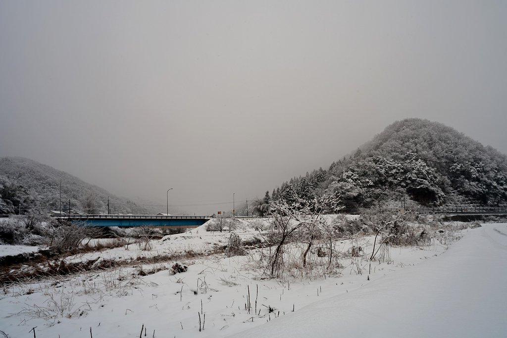 今日も雪が降っています。