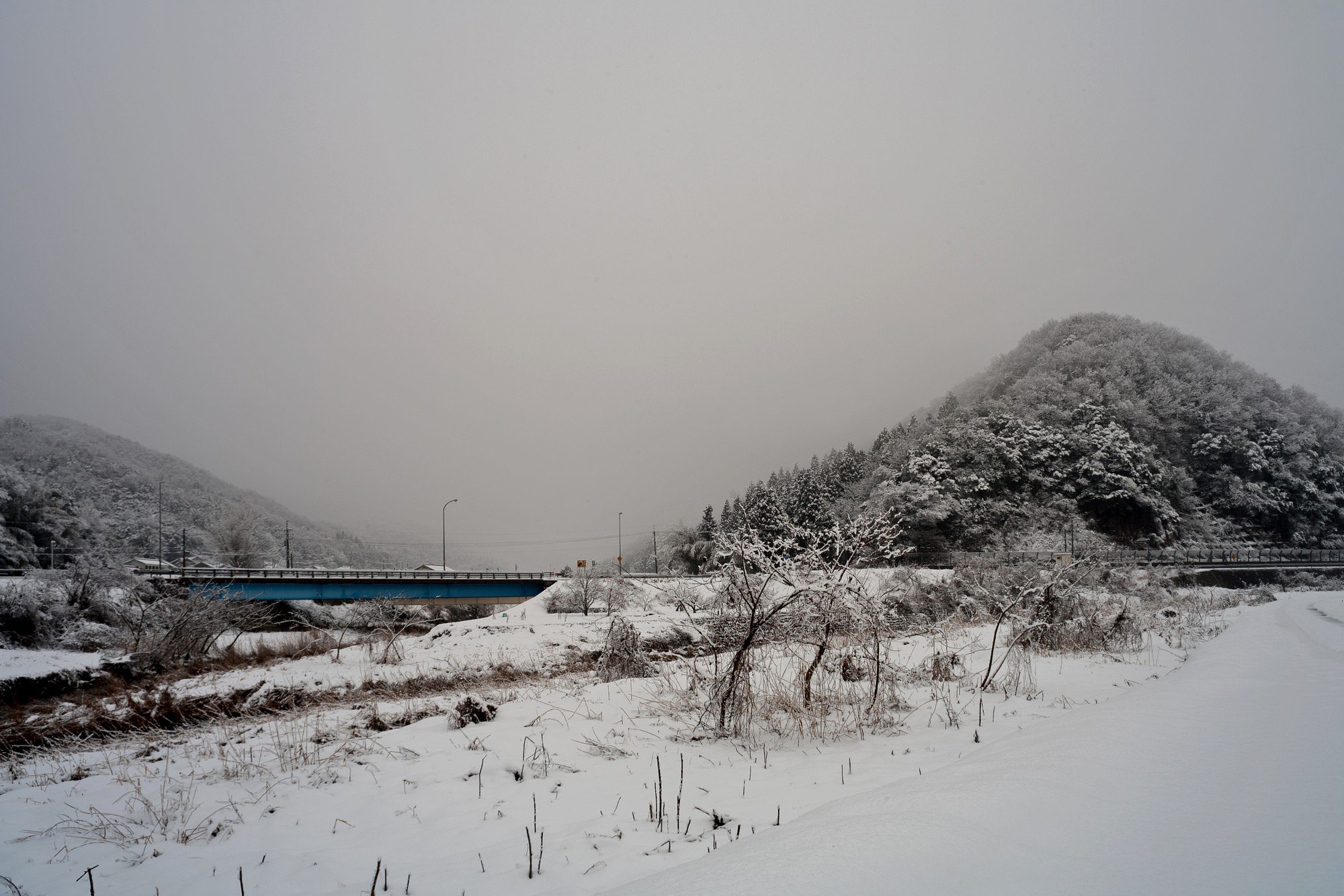 今日も雪が降っています。
