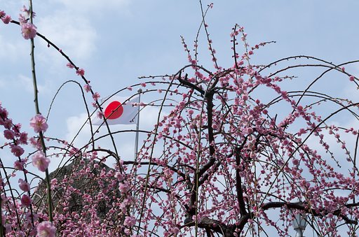 日の丸