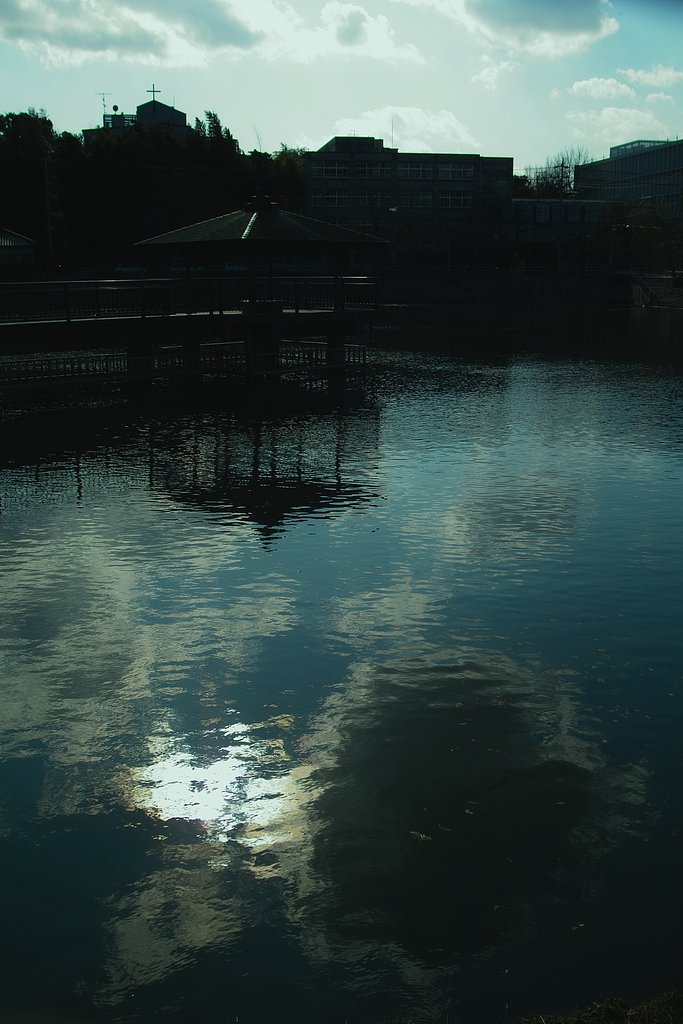 冬景色