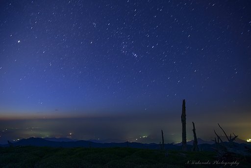 【光】星降る夜に