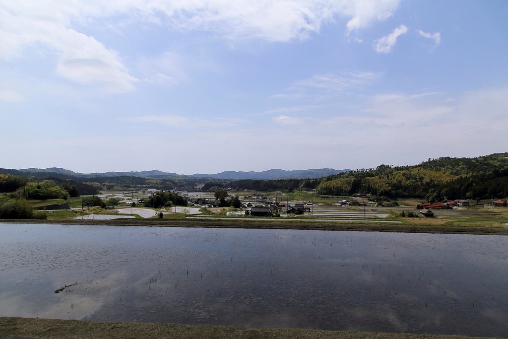 ナベツルの飛来地