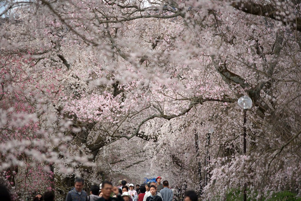 3月のお題・・ラスト12日です