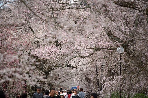 3月のお題・・ラスト12日です