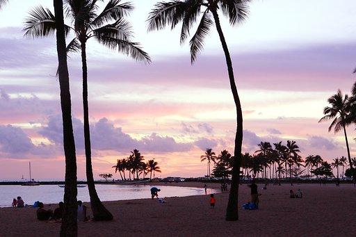 西方を望む