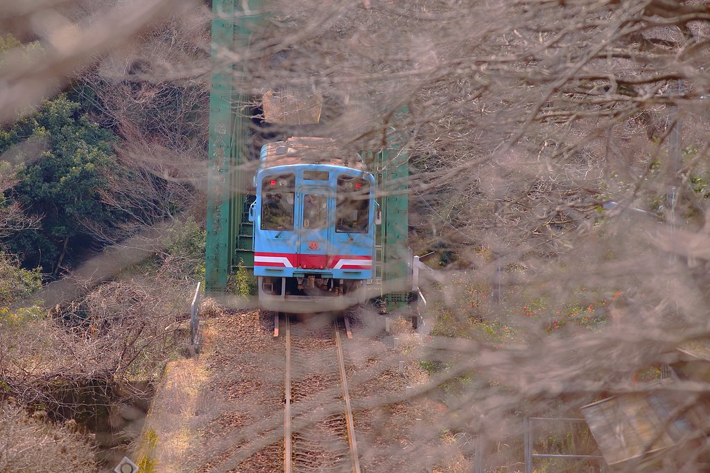 桜の中を・・