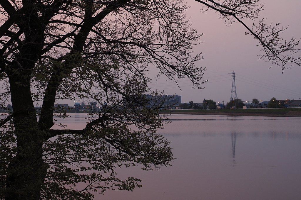 春の夜明け