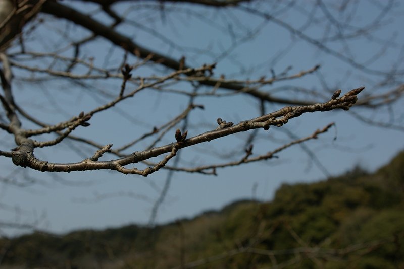 まだまだ・・・