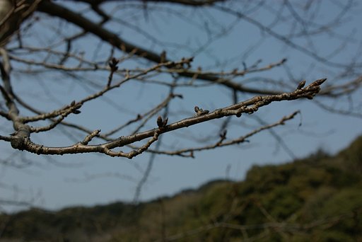 まだまだ・・・