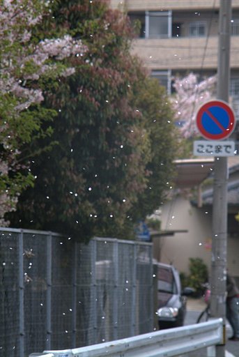 また来年
