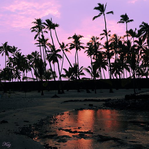 パラダイス夕景