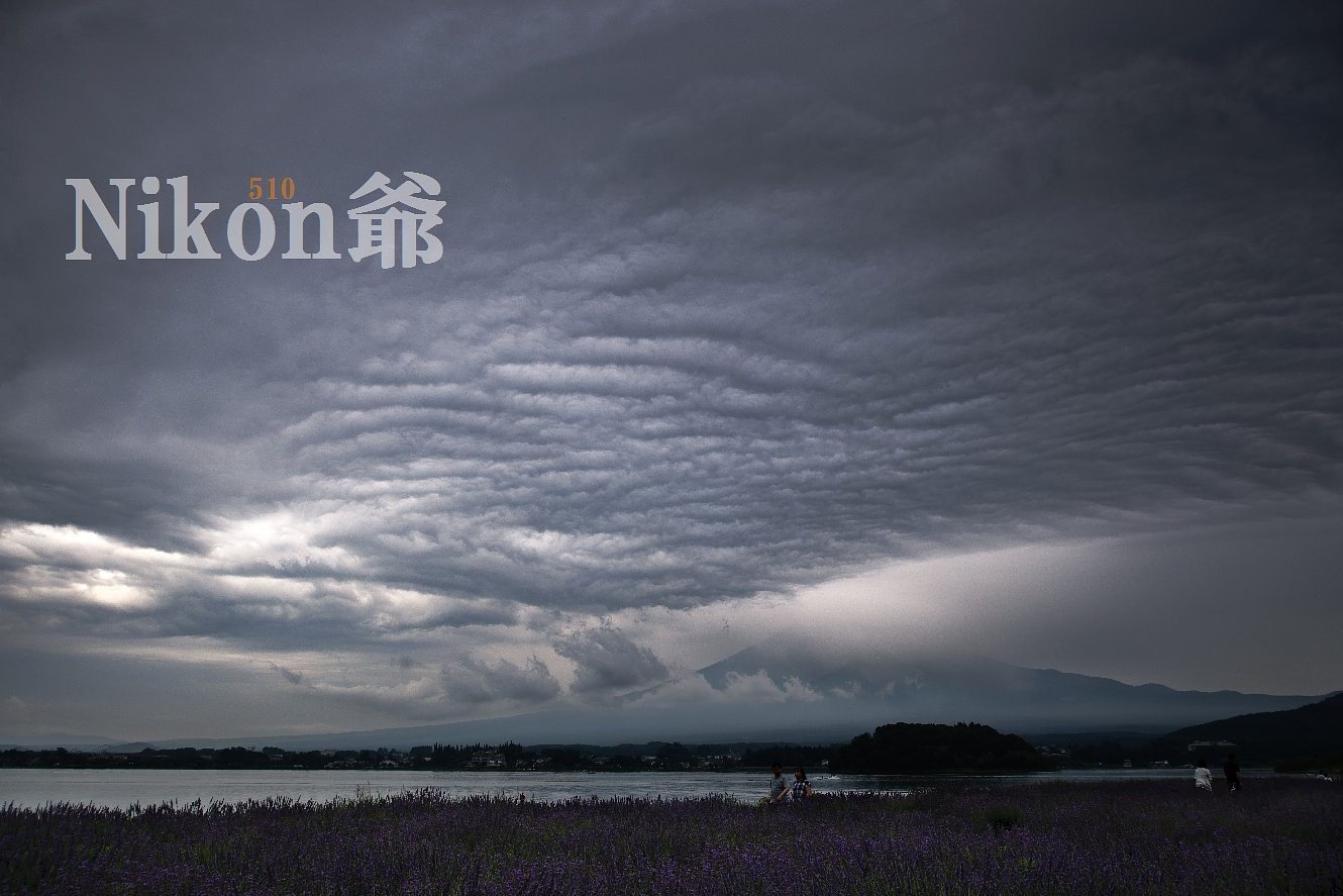 散歩