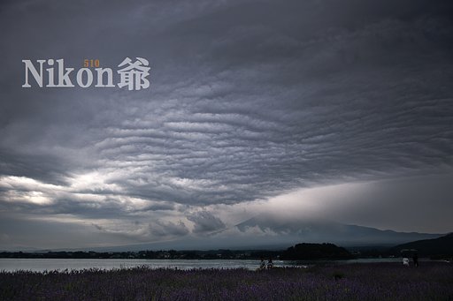 散歩