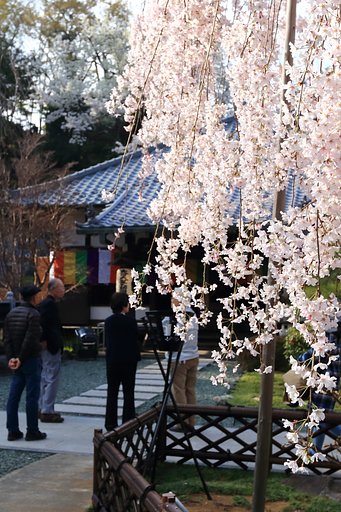 夕陽