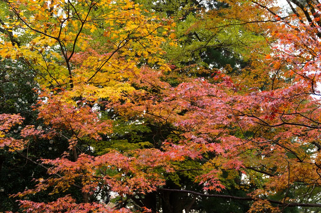 大寧寺３