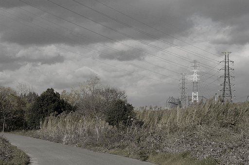 〔師走〕淀河原冬景色