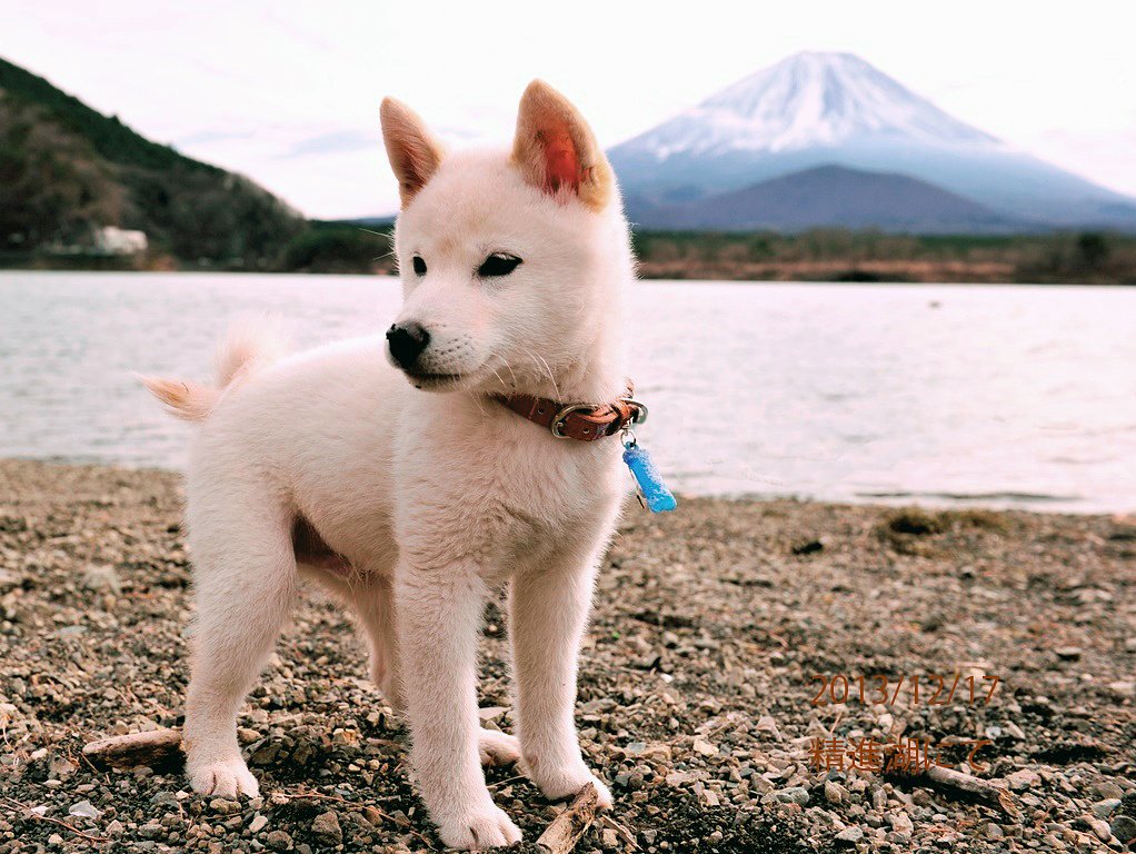 相棒