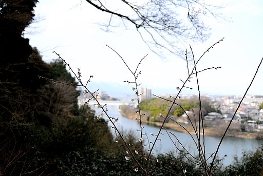 旅の写真掲示板