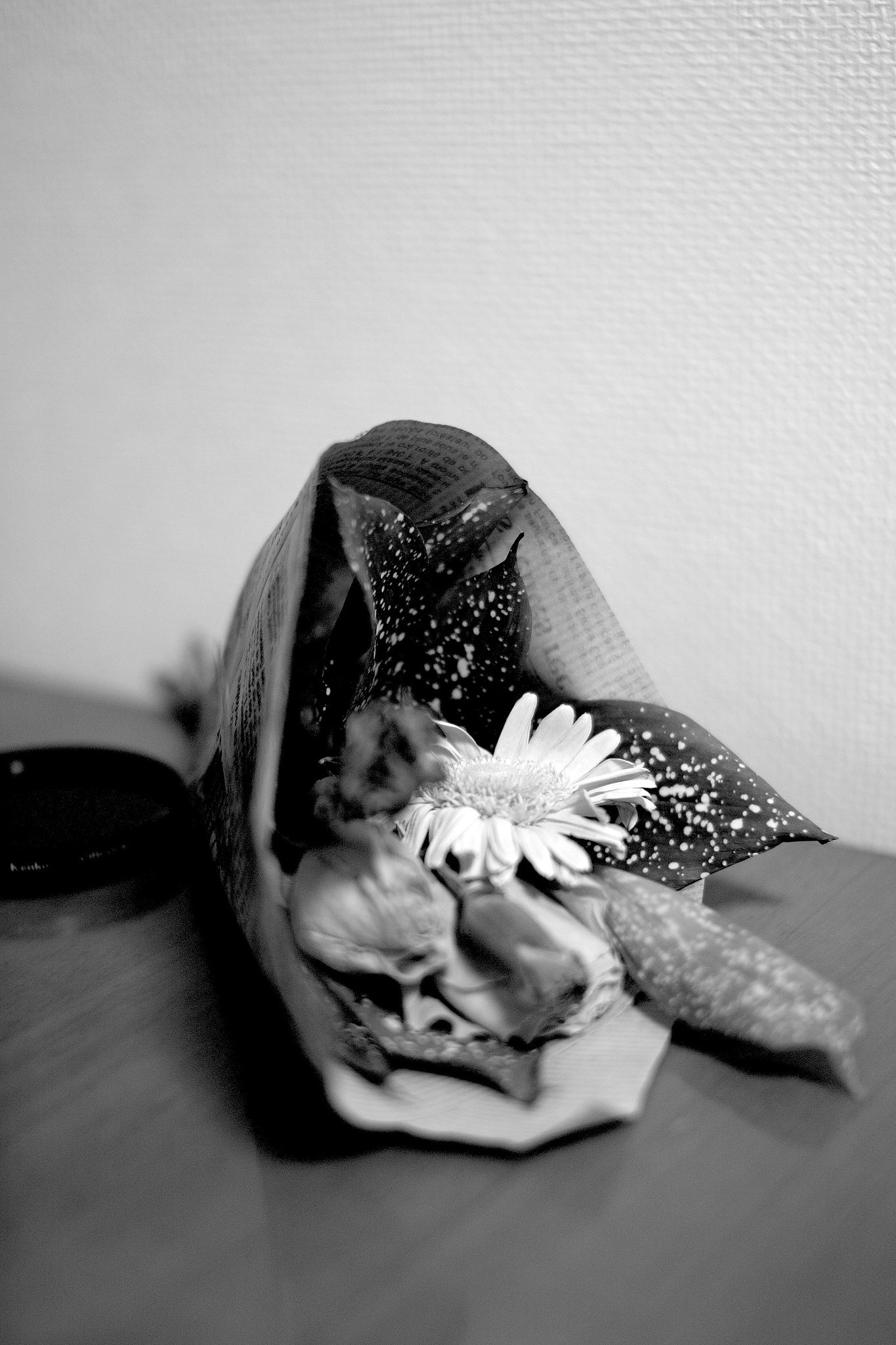 一耕人さん　こんなんは如何でしょう