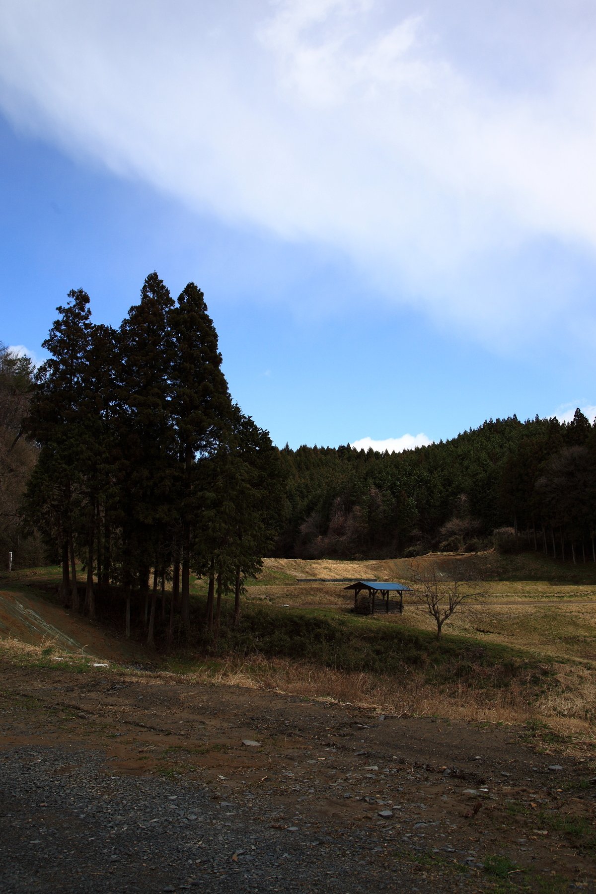 青い屋根のある風景（金成４月）