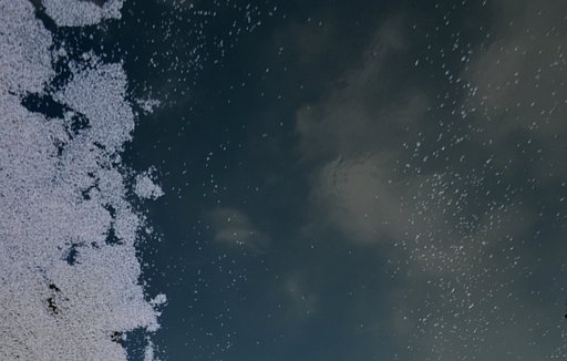 花筏と青空