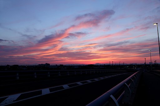 私的「今日の一枚」